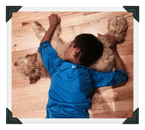 A boy cuddling with his puppy a lap dog.
