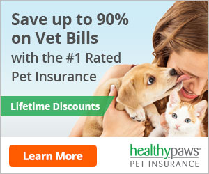 Healty Paws Pet Insurance Picture Picture