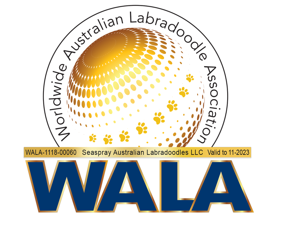 WALA Logo Picture
